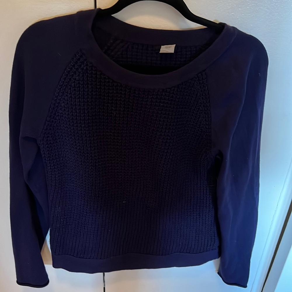 J Crew navy crew neck sweater
